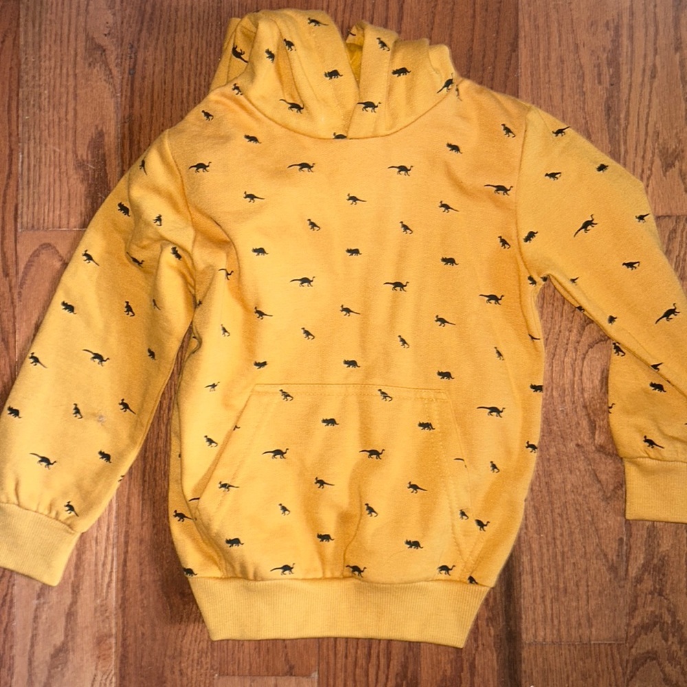 Dinosaur sweatshirt